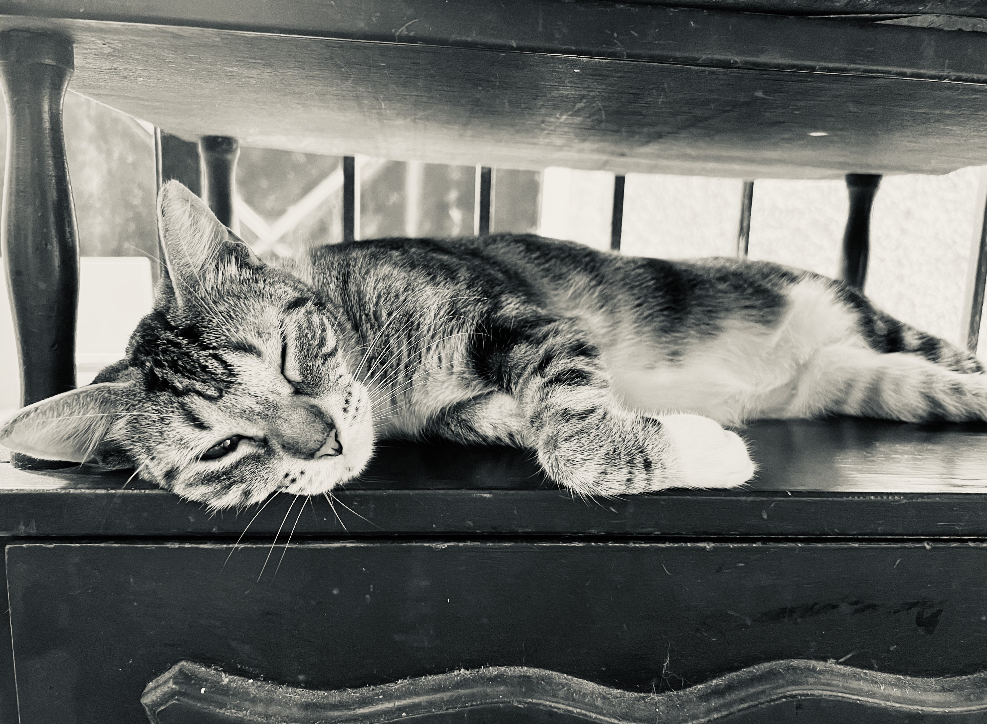 Viernes santo bendito benjamín Cedeño