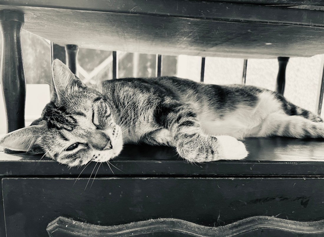 Viernes santo bendito benjamín Cedeño