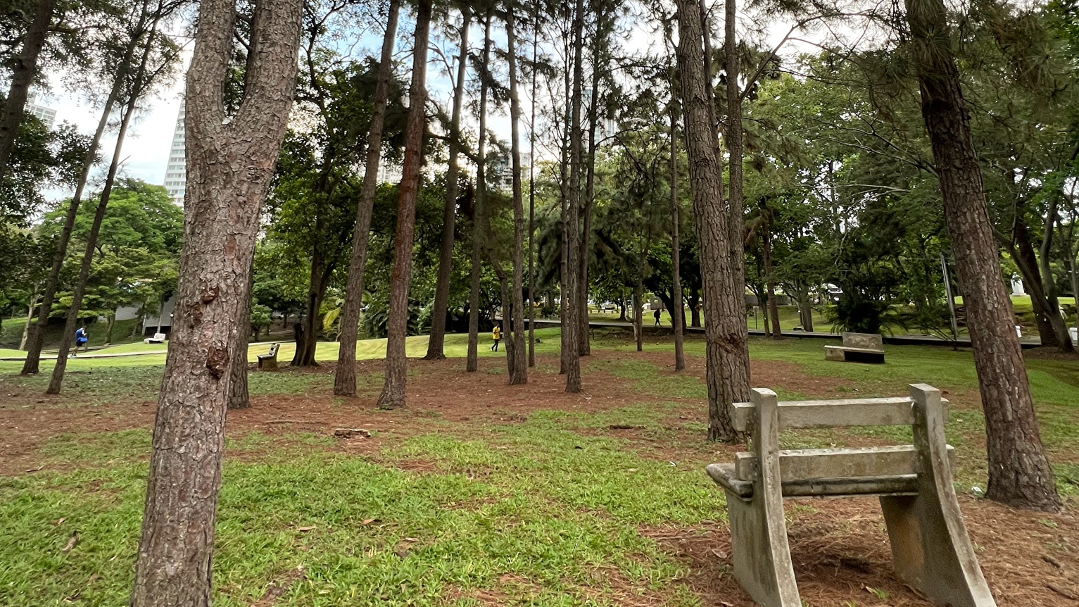 Benjamín Cedeño diario parque omar Panamá