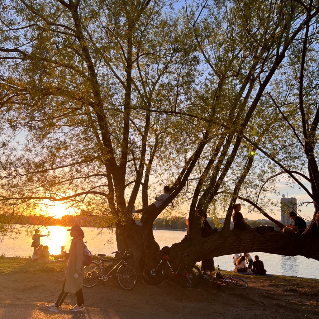 Todo pasa Benjamin Cedeno blog Benjamín Cedeño