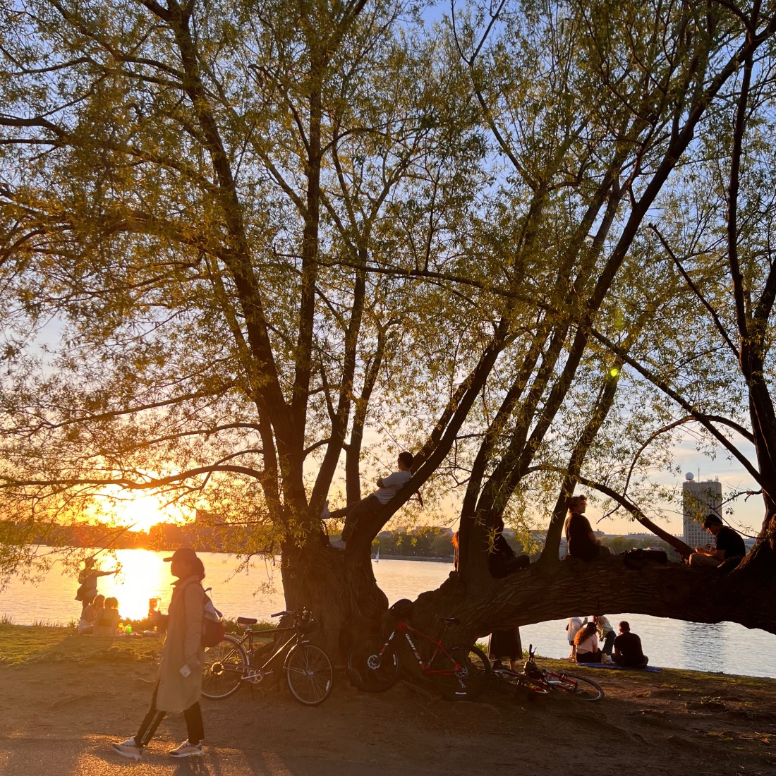 Todo pasa Benjamin Cedeno blog Benjamín Cedeño